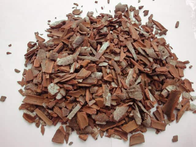 Cassia KBBC Cassia KBBC